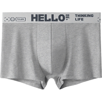 Antarctic mens underwear boys pure cotton youth boxer shorts boys boxer briefs large size summer