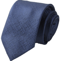 HLA Heilan Home Business Gentleman Tie 2024 New Arrow Type Polyester Glossy Delicate Elegant Tie for Men