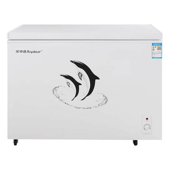 Copper tube frost-free丨Royalstar commercial large-capacity freezer