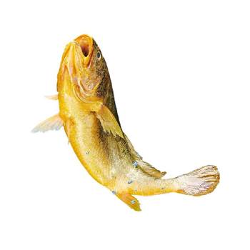 Hongshun deep sea fish chilled large yellow croaker