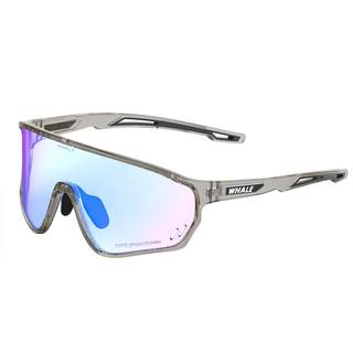 Spring swhale/whale riding glasses r3