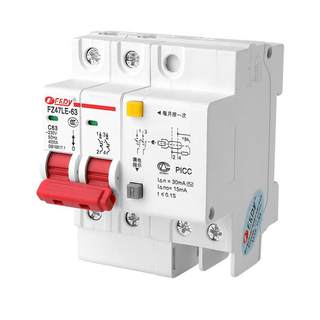 Zhujiang air switch with leakage protector 63a household circuit breaker 220v air switch 2p leakage protection 32a three-phase