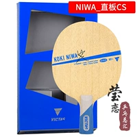 Koki Niwa_strack CS