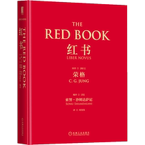 红书心理学大师荣格经典著作周党伟译理解心理学不得不读的一本书