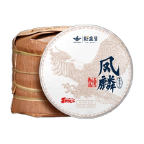 2024 New Tea Spot Xinyi Haotou Spring Ancient Tree Puer Tea Raw Tea Cake Selection Fenglin 200g*5 Cake Whole Delivery