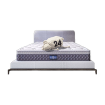 Serta Dream Angel Latex Mattress Independent Pocket Spring Mattress Seven Zones Spine Protection Moderate Sleeping Feel