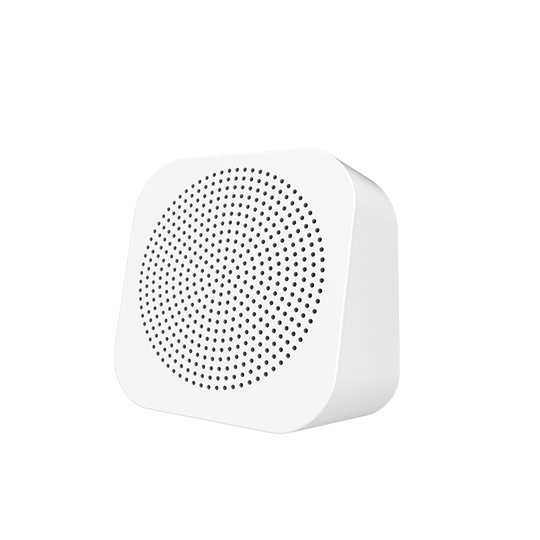 Recording loop speaker text-to-speech special for stall setting