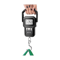 Kaifeng portable electronic scale hook scale 50kg portable high-precision household express scale small scale spring scale small