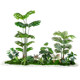 Xiaohongshu’s popular Japanese-style simulated horse drunk wood landscaping