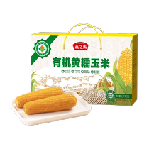 Yanzhifang organic yellow waxy corn gift box 1 9kg whole grains and whole grains 8 pieces fresh sweet waxy corn vacuum packed