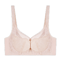 Adairy Adjustable Underwear Womens Big Breast Showing Small Bra Summer Thin Thin Cup Soft Wire Ring Side Shape Bra