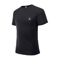 Camel Fitness Vêtements T-shirt Hommes 2024 printemps été New Clear And Fresh Air Speed Dry 100 Hitch Running Short Sleeve Men