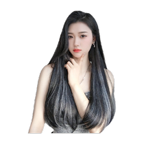 Highlighted inner-button one-piece seamless wig simulated hair extensions thin invisible increased hair volume wig for women with long hair