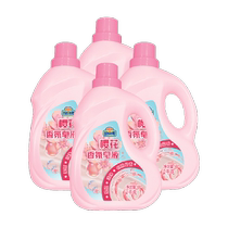 Fanbase cherry blossom scented soap liquid 2kg * 4 bottles of whole box batch promotion combined clothing Laundry Detergent for home washing lingerie