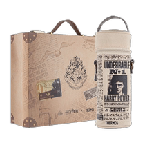 Thermos Harry Potter large-capacity childrens straw insulated cold water cup gift box for boys and girls with good looks