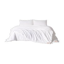 SILKUEEN Silkworm Queen Silk Art Silk Quilt 100 Mulberry Silk Spring Autumn and Winter Quilt Universal Mother-in-Line Quilt Core