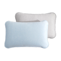 Luolai Home Textiles Class A Antibacterial Washable Ice Skin Cooling Pillowcases and Pillow Covers for Adults Summer