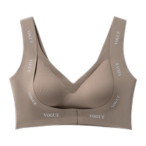 Catman Seamless Underwear Womens Push Up Small Breasts Show Bigger No Wires Top Support Secondary Breasts Anti-Sagging Sexy Front Button Bra