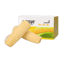 Mot de passe sans poids Northeastern white glutinous corn 220g * 9 racines Nouvelle cueillette de maïs glutineux Vacuum glutineux glutineux de maïs glutineux riz