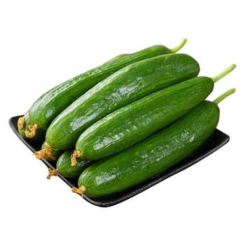 Fresh fruit cucumber eaten raw 5jin jin is equal to 0.5kg. seasonal farm-grown and freshly picked thornless crispy cucumber meal replacement low-fat vegetables 3