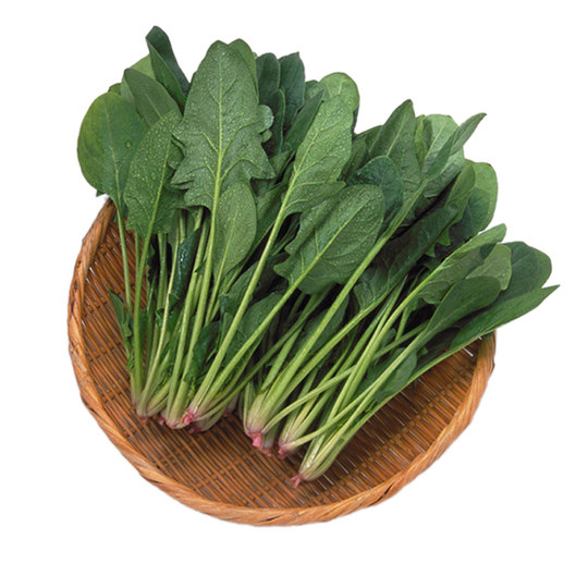 Four Seasons Autumn and Winter Vegetable Seeds Green Rapeseed