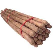 Fresh yam 5 catty Zhengzong Iron Stick Yam Henan Scorched Earth Huai Yam Iron Rod Huai Mountain Medicine