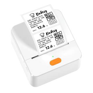 Detong p1 handheld bluetooth label printer large size