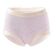 YEEHOO Yings Maternity Underwear Pregnancy Autumn and Winter High Waist Belly Support Large Size Underwear 5A Antibacterial Seamless Underwear