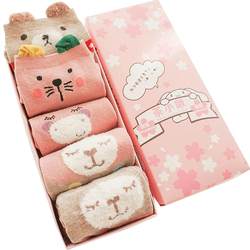 Gift box socks 5 pairs of daily socks for women autumn and winter mid-calf socks pure cotton cute and sweet Korean style girl student socks