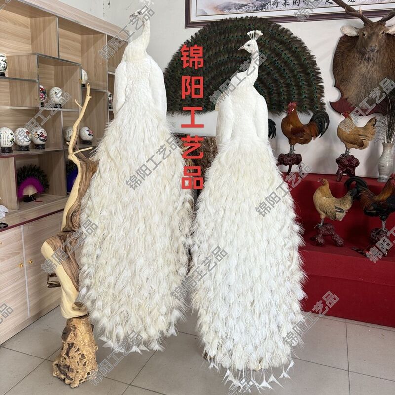 Natural Feather White Peacock Specimen Indoor Living Room Hotel Decoration Floor-Standing Home Decoration Crafts Ornaments Handmade