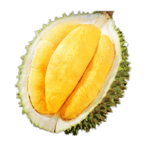 Малайзия импортировала Musang King дуриан D197 с жидким азотом фрукты из Сан-Франциско.