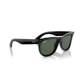 Ray Ban new sunglasses 0RBR0502S