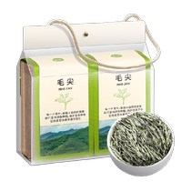 Fumingyuan Tea 2024 Mingqian New Tea Maojian Tea Green Tea Young Bud Chestnut Fragrance Selected Bag 300g
