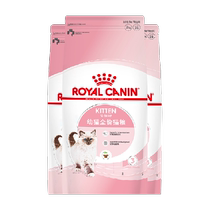 Royal K36 jeune chat chat nourriture en dessous de Décembre 2 kg * 3 packs de marionnettes courtes et courtes marionnettes Marionnettes Général