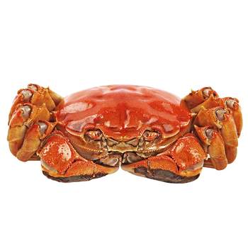 Jiangsu qingshui hairy crabs 8-16 pieces in gift box