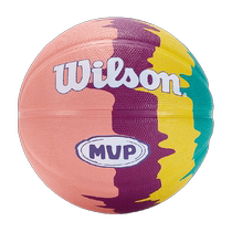 Wilson Wilwin Children Elementary School Kids Kindergarten Special 5 Basketball Abrasion Résistant Outdoor Outdoor