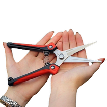 Gardening scissors floral scissors branch scissors pruning scissors garden fruit bud scissors fruit picking scissors vegetable and fruit thin fruit grape scissors