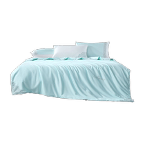 Mercury Home Textiles Class A summer quilt 100 silk summer cool quilt dormitory washable air-conditioned quilt quilt core bedding