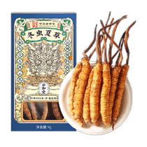 Gonghetang Cordyceps non-wild Tibetan seasonal fresh Cordyceps Chinese herbal medicine official flagship store