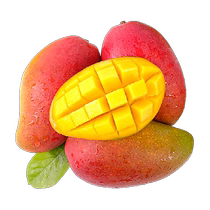 (200g large fruit) Guifei Mango Golden Phoenix Mango 3 4 5 8 pounds Yunnan fresh fruit for ripening and consumption