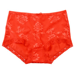 Sitiao physical store classic Die Anfen 1700 cotton mesh thin sexy red zodiac year underwear women's underwear