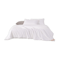 SILKUEEN Silkworm Queen Mulberry Silk Quilt 100 Mulberry Silk Winter Quilt Spring and Autumn Universal Mother-in-Line Quilt Core Filament