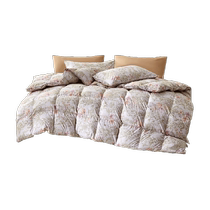 Mercury Home Textiles Class A Antibacterial Down Winter Quilt 90% White Duck Down Warm Quilt Core Autumn and Winter Warm Quilt 24 Years New Product
