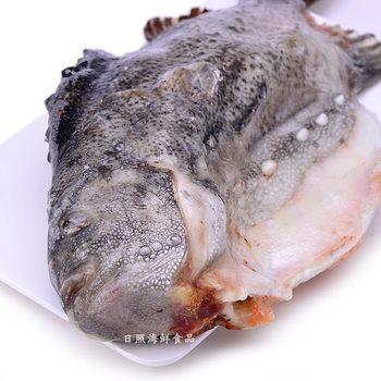 Sea cucumber spot fresh deep sea fish collagen fish wholesale