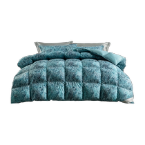 Mercury produces Belles antibacterial white goose down quilt three-dimensional lock velvet warm winter quilt home single and double quilt core