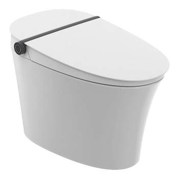 The store manager recommends realt smart toilet f series