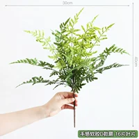 Мягкий папоротник в стиле D