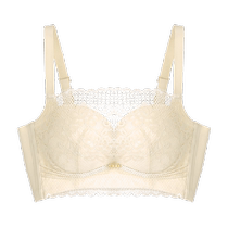 Yadaili underwear for women with small breasts push-up lace bandeau style stable support auxiliary breast collection comfortable wire-free bra