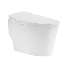 Faensa Smart Toilet Small Household Foot Feeling Flush No Water Pressure Limitation Smart Toilet FEA06-G