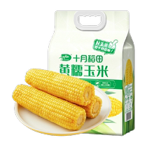 October rice field corn yellow waxy corn 1 76kg*1 bag